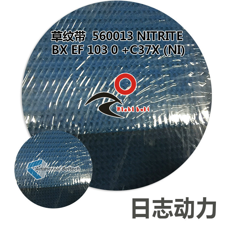 草紋帶 藍(lán)色 560013 Nitrite BX EF 10